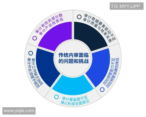 广州羽毛球队在钻石联赛中的转型与挑战之路探索